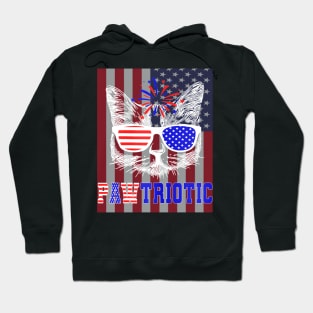 American Patriotic Cat Pawtriotic 4th July American Flag Hoodie